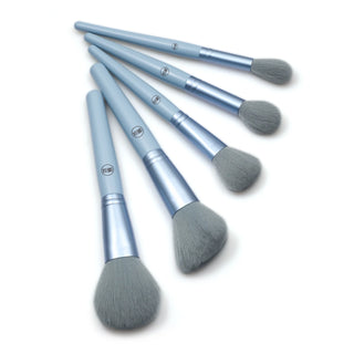 BRUSH SET DUO