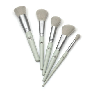 BRUSH SET DUO