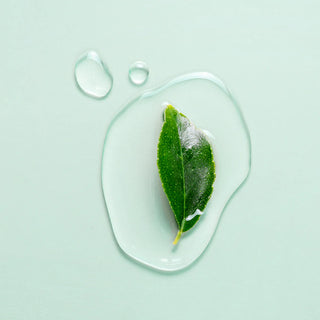 AMORUS - Green Tea Eazy Breezy Facial Mist (11th Wish)