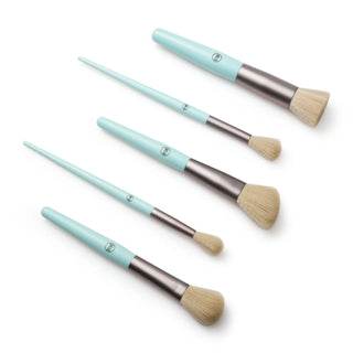 BRUSH SET DUO